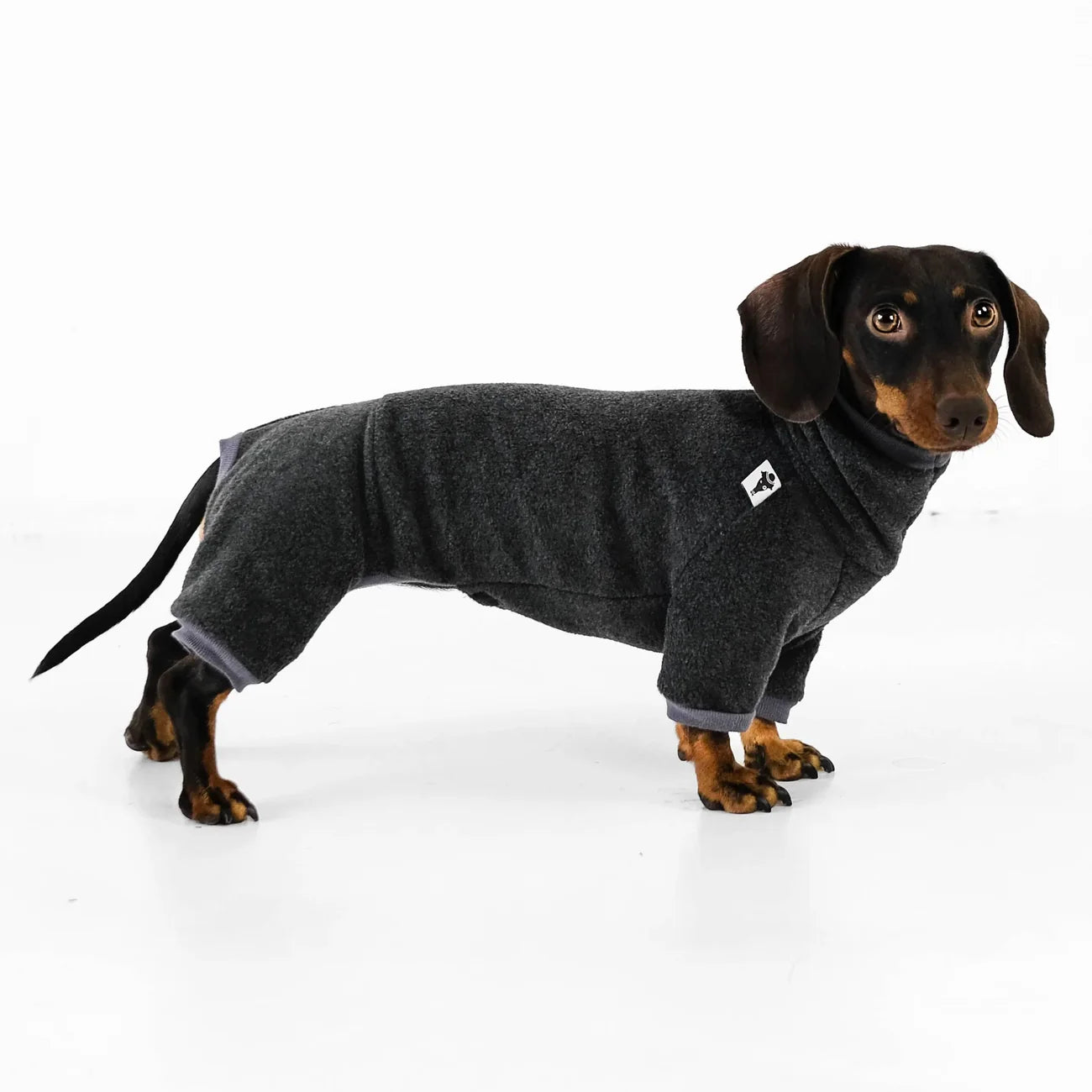 Cozy Paw Sweater Black