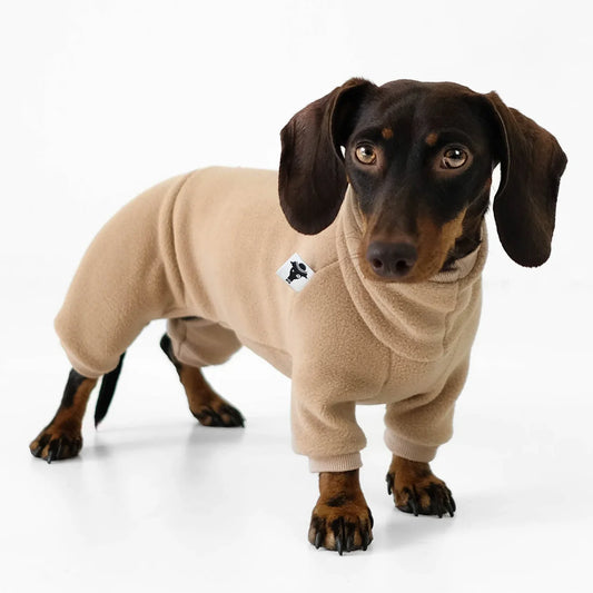 Cozy Paw Sweater Hazel