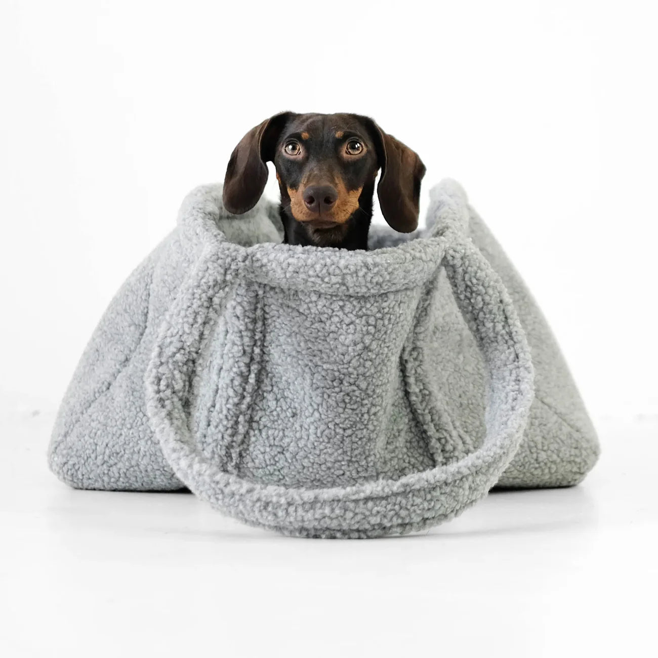 Urban Paw Carrier